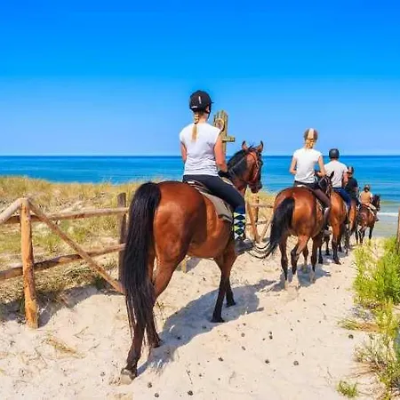 Daire Luxeriose 1br! Netflix & Kuche - 5 Min Vom Strand Kuşadası